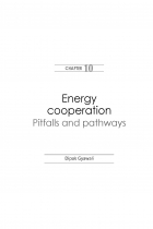 South Asian cooperation Issues old and new Chapter-10