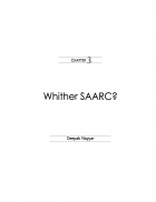 South Asian cooperation Issues old and new Chapter-3